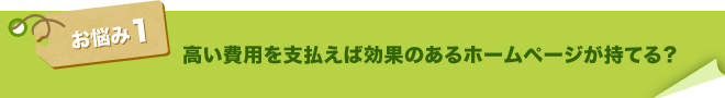 高い費用を支払えば効果のあるホームページが持てる？